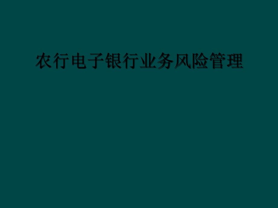 农行电子银行业务风险管理_第1页
