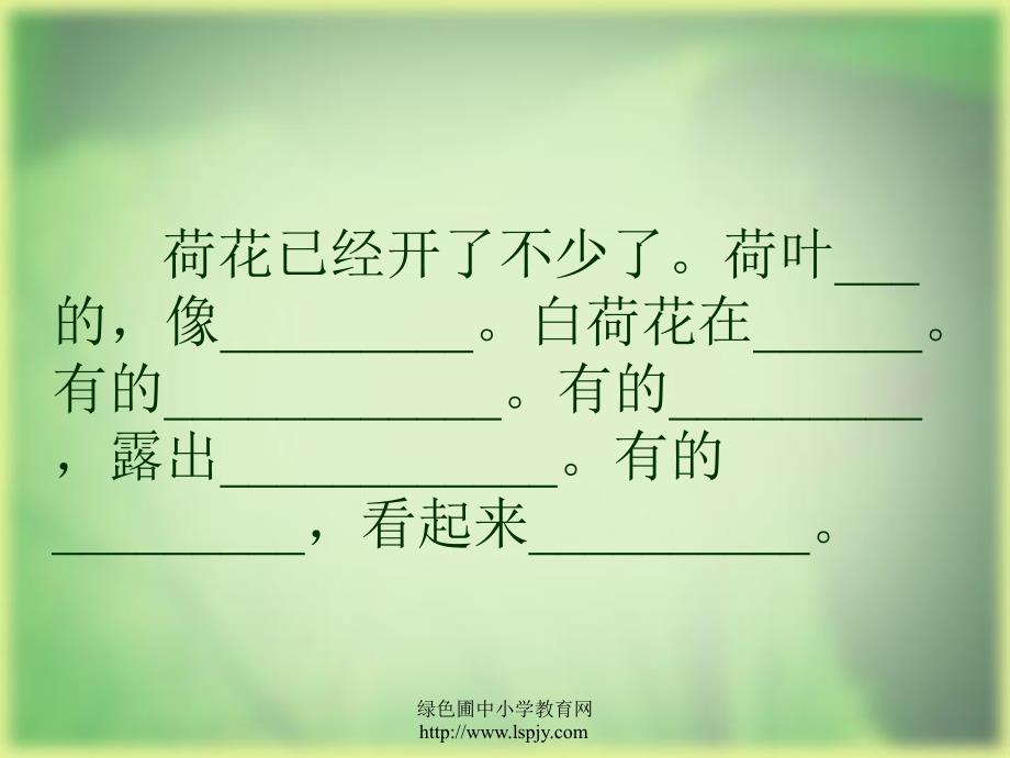 荷花教学PPT课件_第4页