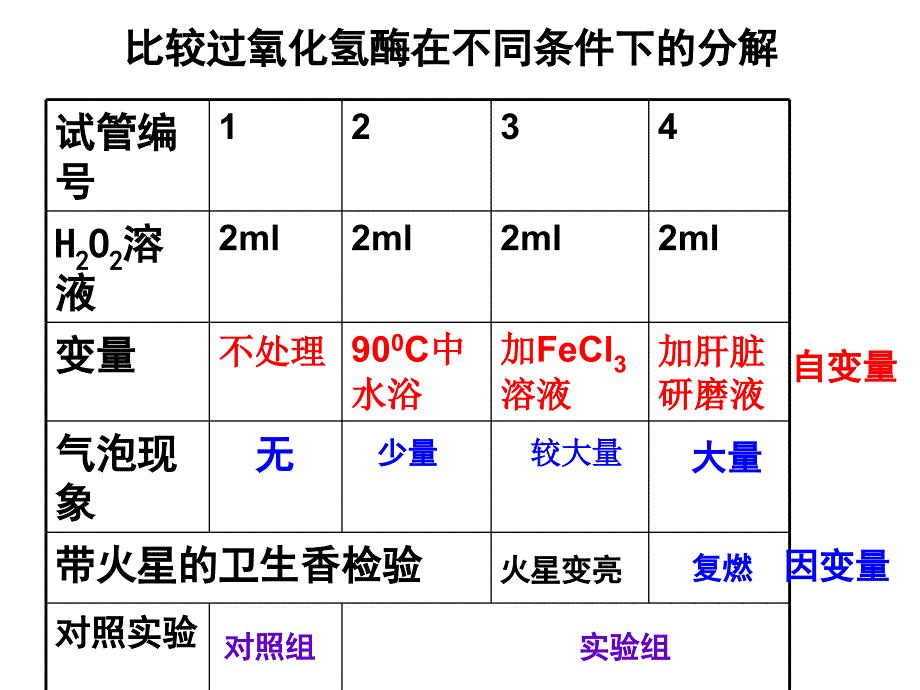 降低化学反应活化能的酶PPT_第4页