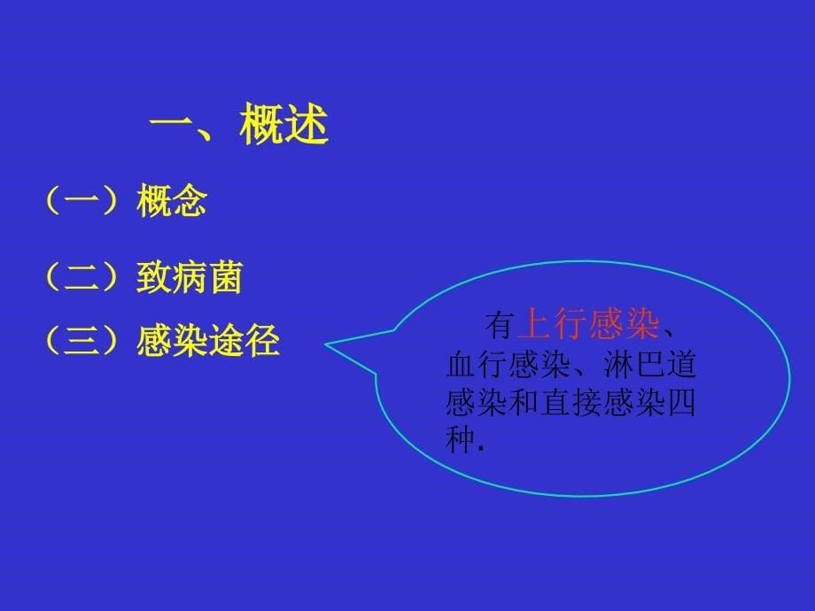 肾盂肾炎病病人的护理.ppt_第5页