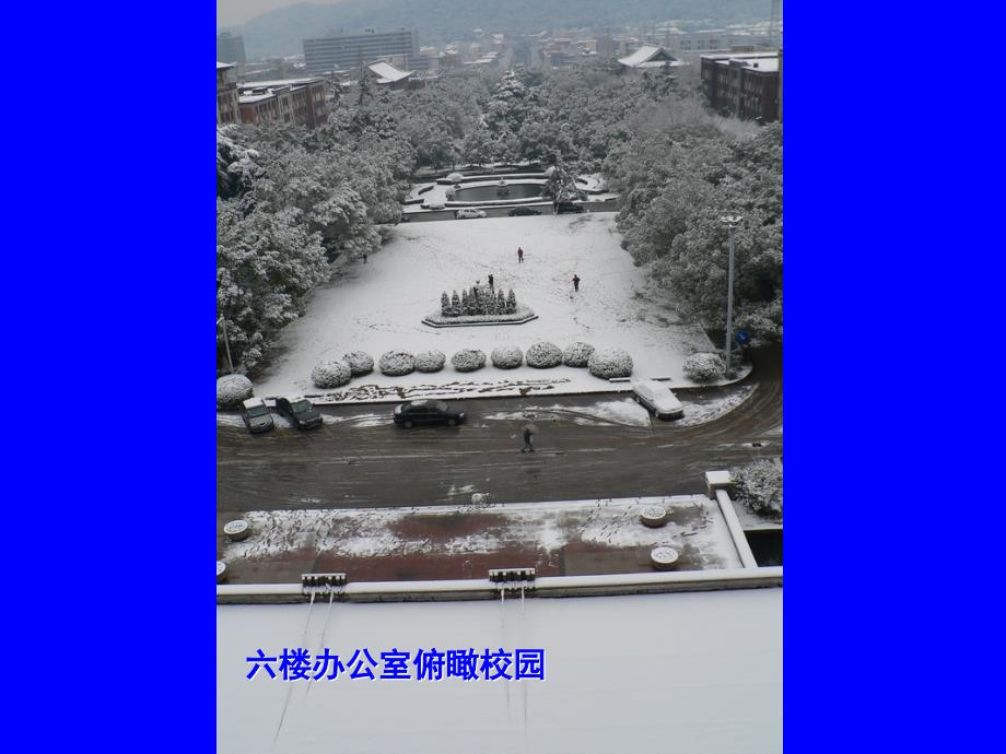 浙大雪景之一_第2页