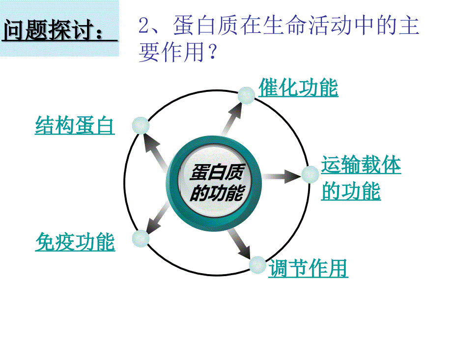 22生命活动的主要承担者——蛋白质_第2页