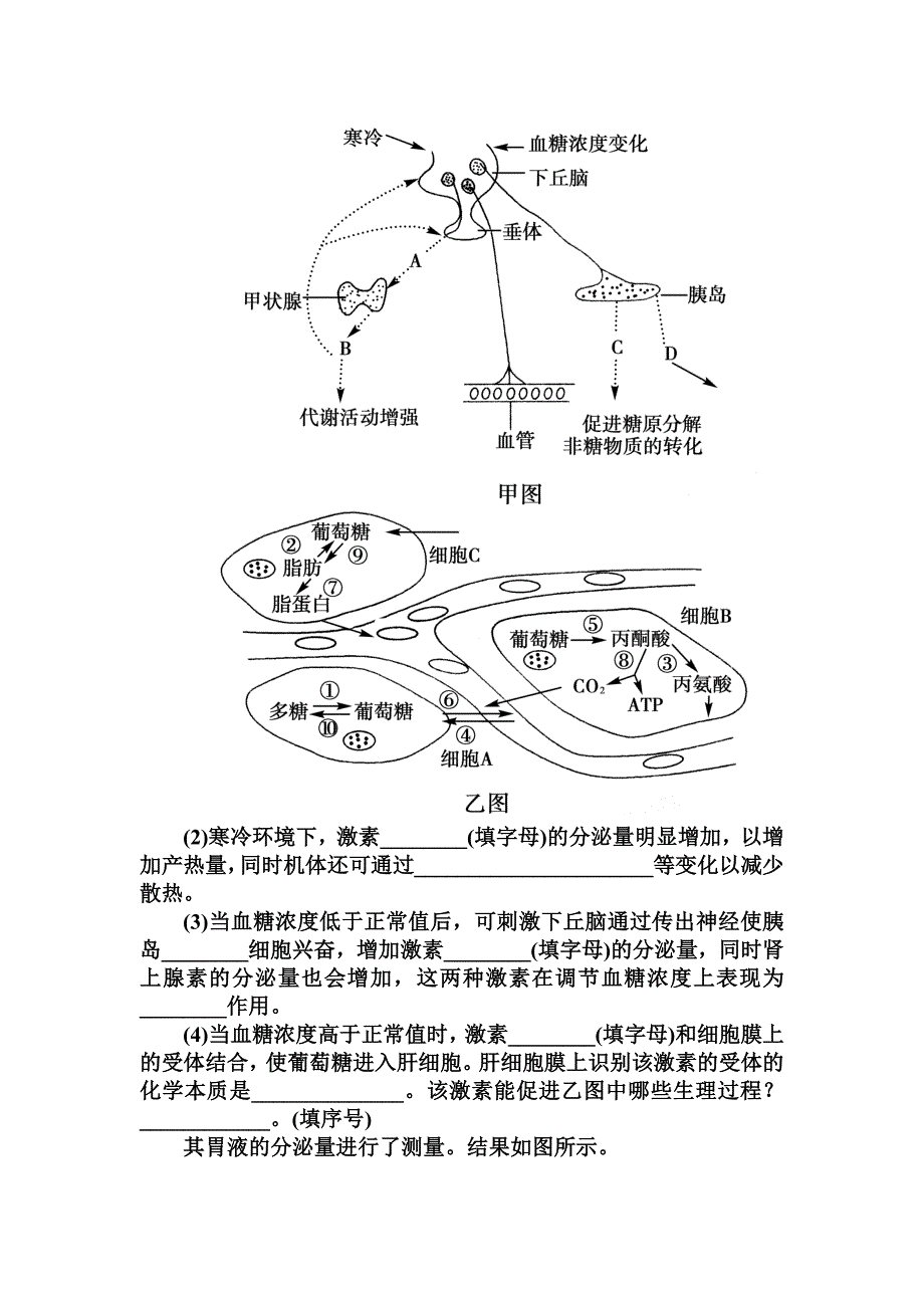 2.2通过激素的调节.doc_第5页