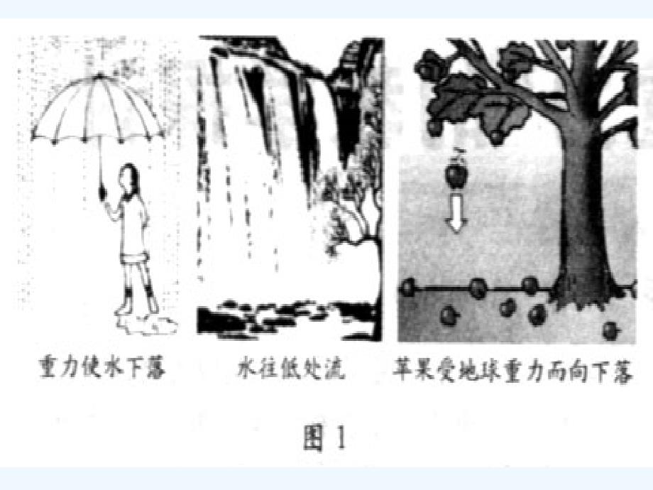 重力和重心解析课件_第4页