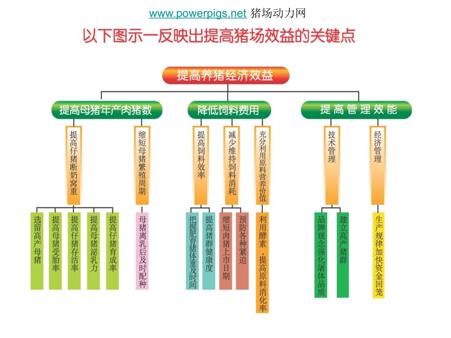 夏季母猪易发疾病的综合防治方法_第2页