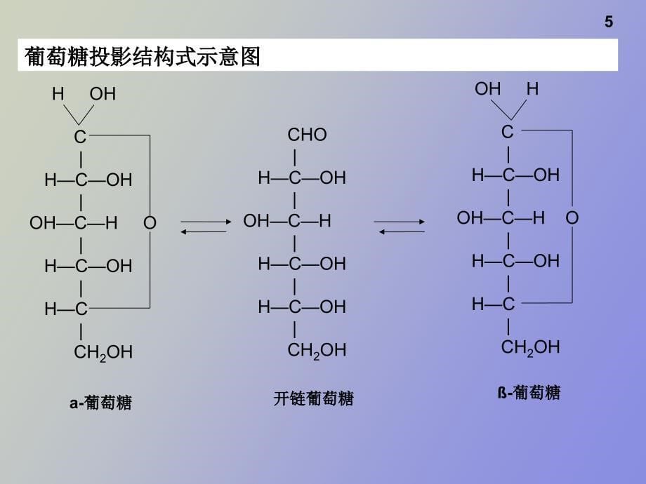 葡萄糖生产工艺_第5页