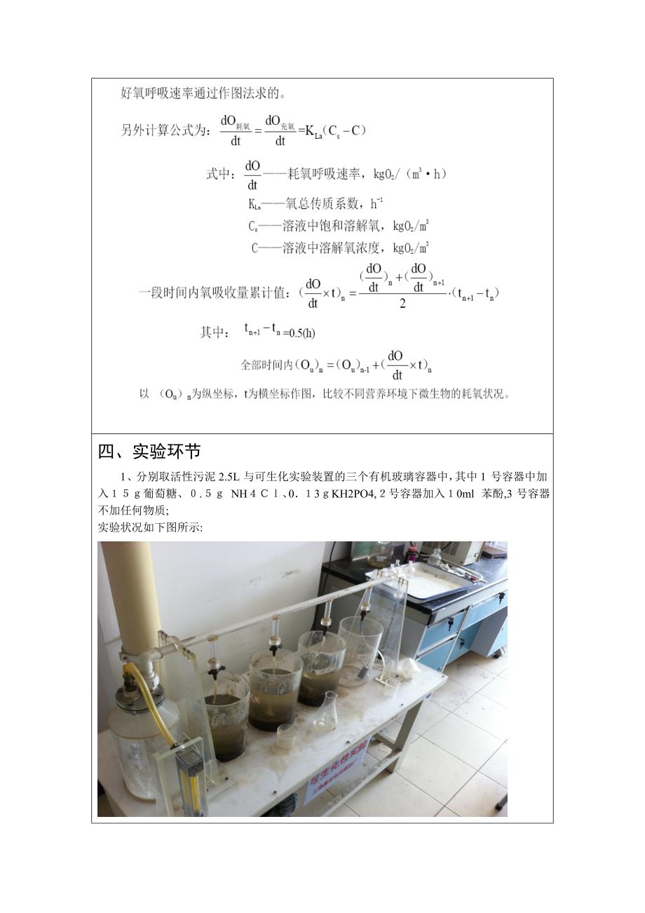 污水可生化性实验--syy_第4页