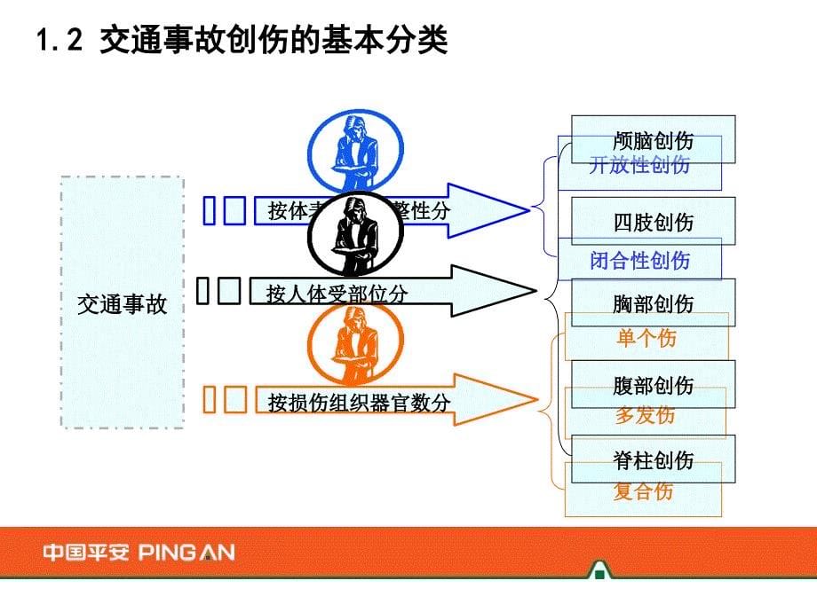 车险常见创伤PPT课件_第5页