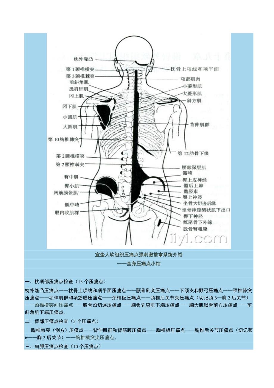 宣蛰人软组织疼痛强刺激推拿压痛点(解剖图).doc_第1页