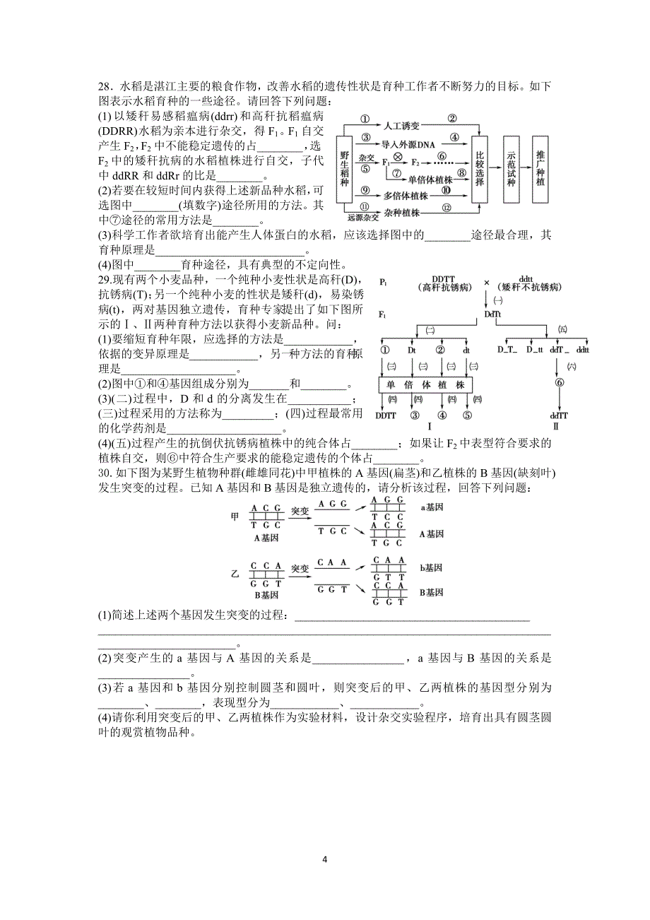 专题五.变异与育种doc.doc_第4页