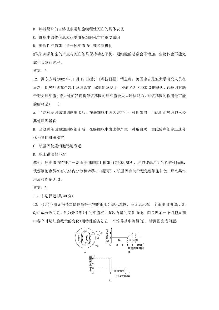 （课堂设计）高中生物 第五章 细胞增殖、分化、衰老和凋亡本章测试3 苏教版必修1_第5页