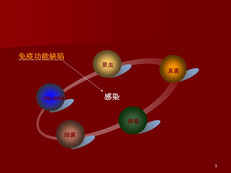 免疫功能缺陷患者的肺部感染PPT课件_第5页