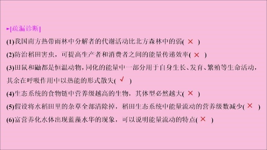 新高考2022高考生物二轮复习第一部分专题突破方略板块五生态专题十三生态系统和环境保护课件_第5页