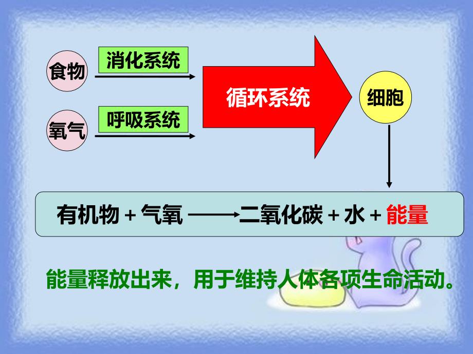 《第五节人体能量的供给》课件4_第3页