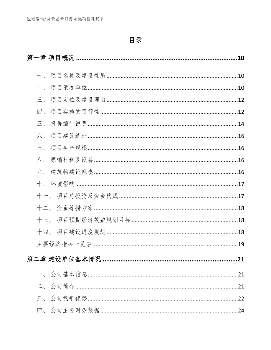祥云县新能源电池项目建议书（模板范文）_第2页