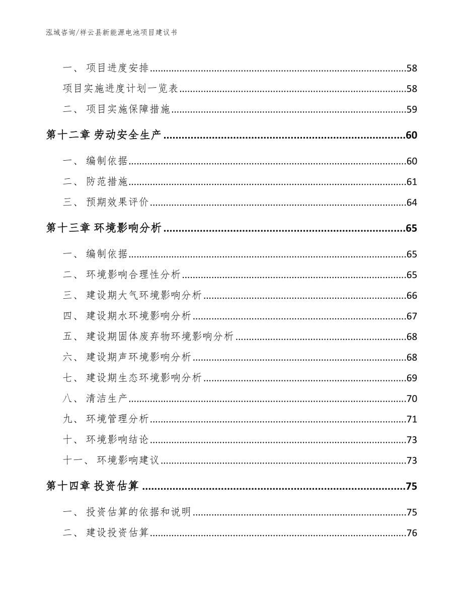 祥云县新能源电池项目建议书（模板范文）_第5页