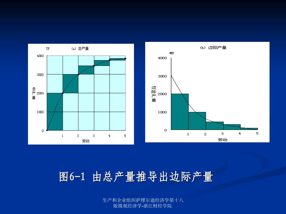 生产和企业组织萨缪尔逊经济学第十八版微观经济学-浙江财经学院课件_第4页