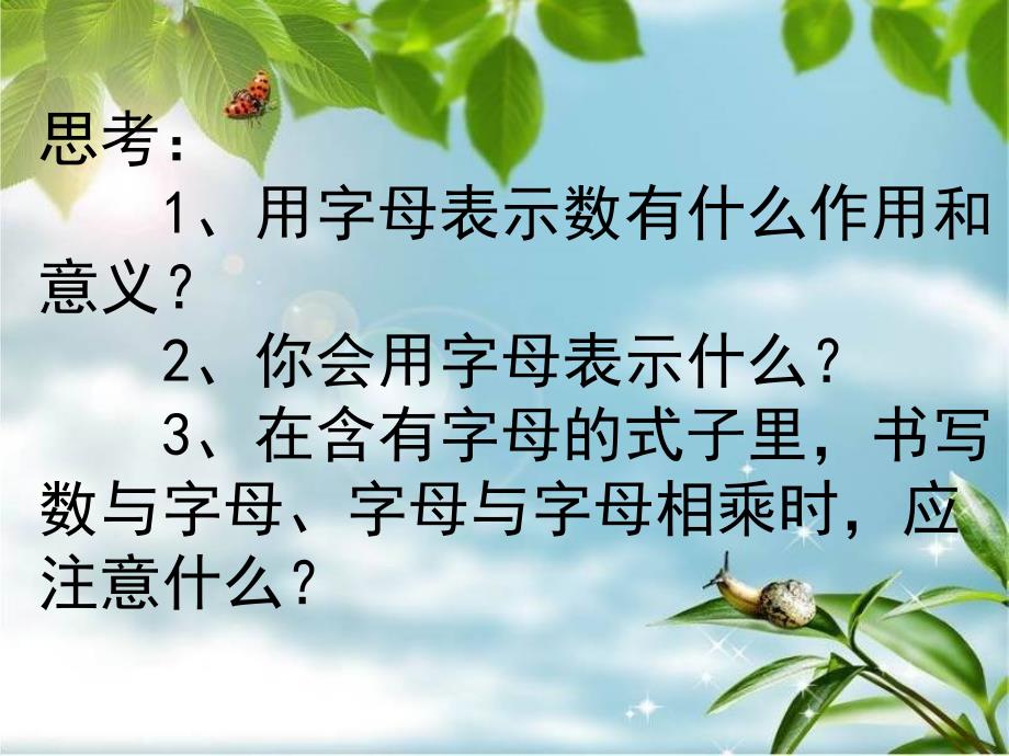 新课标人教版六年级数学下册总复习式与方程PPT课件_第3页