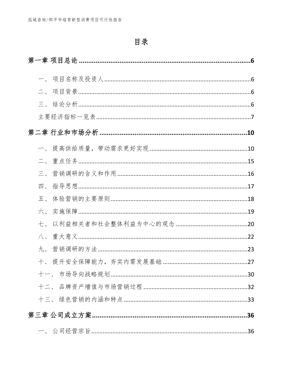 邹平市培育新型消费项目可行性报告【模板范本】_第1页