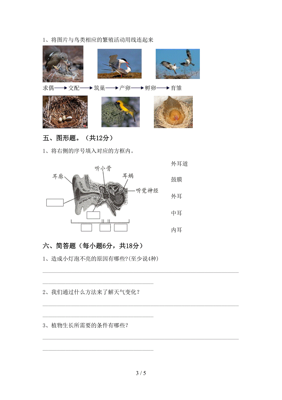 四年级科学上册期末考试题及答案下载.doc_第3页