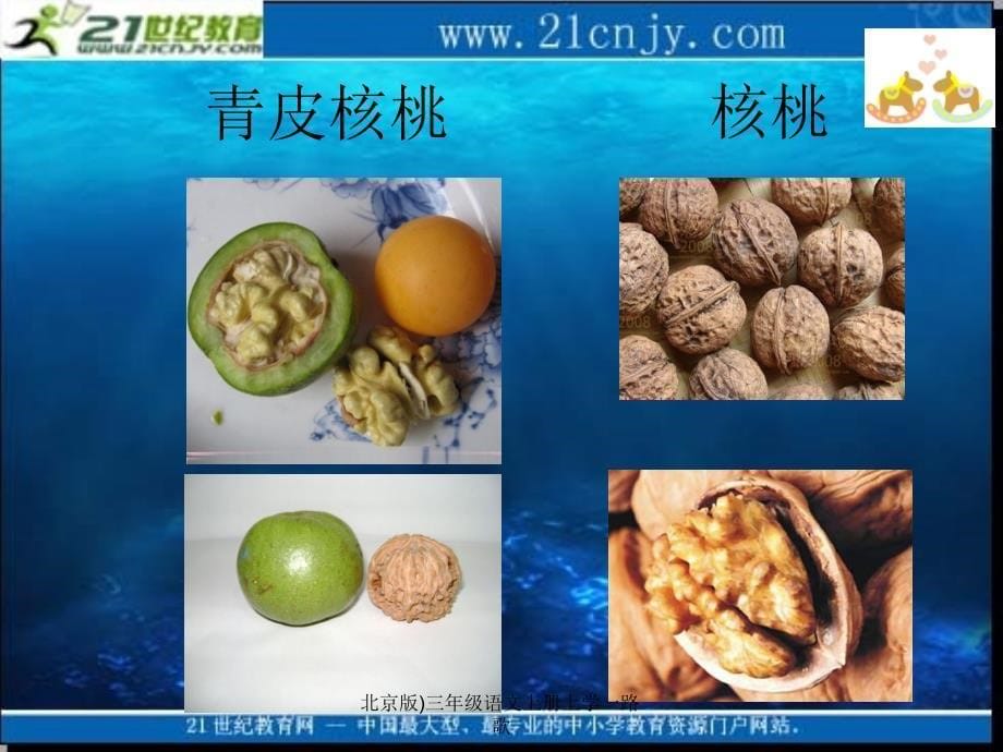 北京版三年级语文上册上学一路歌_第5页