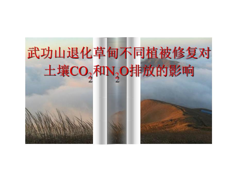 武功山退化草甸不同植被修复对土壤CO2和N2O排放的影响课件_第1页