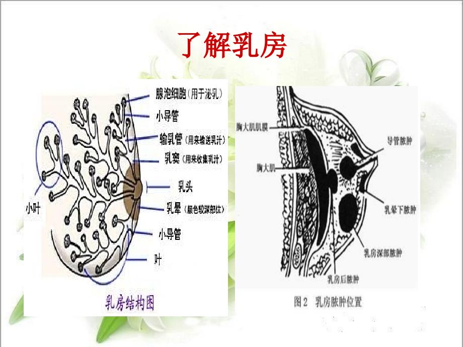 乳腺炎的护理查房_第4页