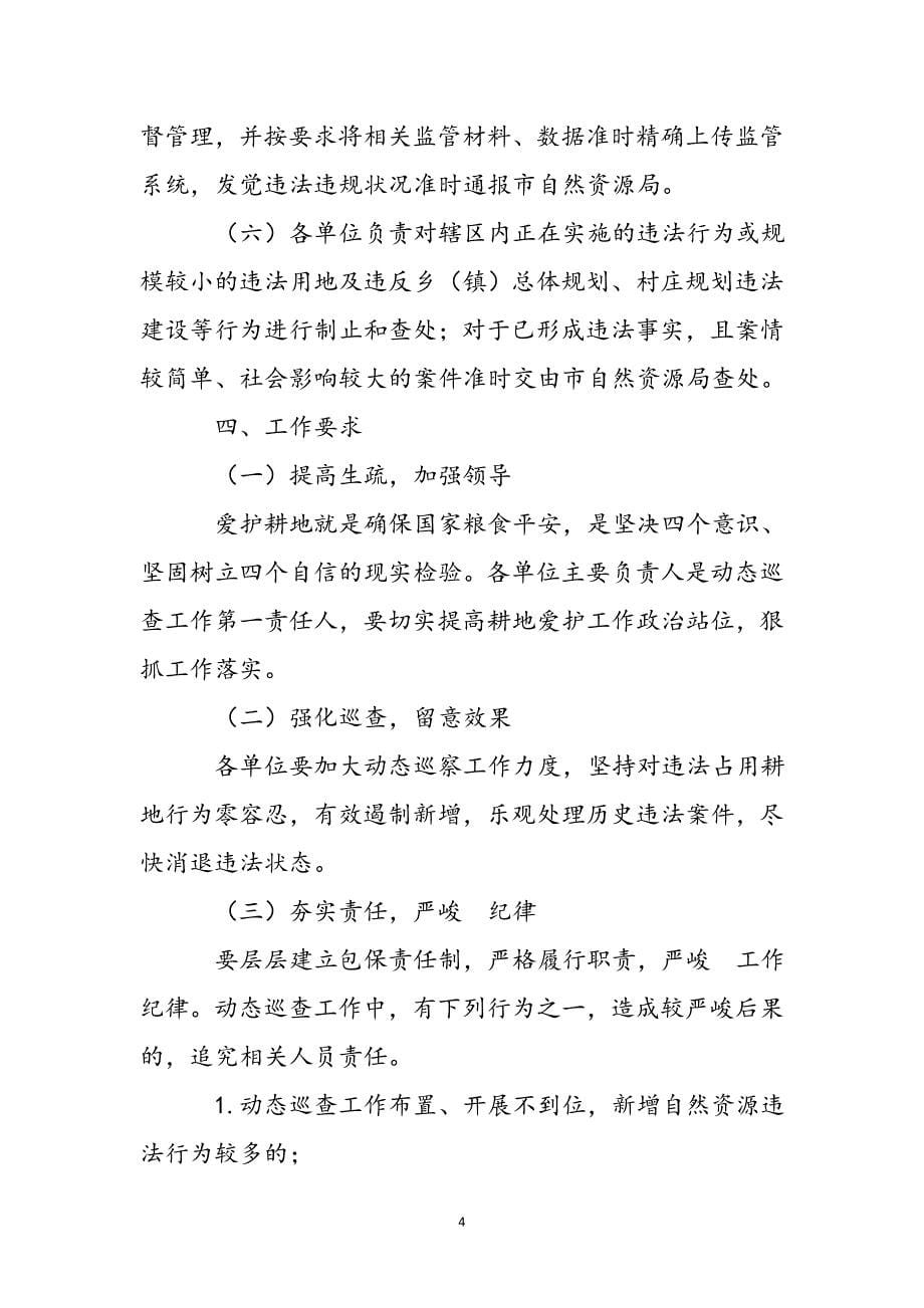 2023年自然资源执法监察动态巡查工作方案.docx_第5页