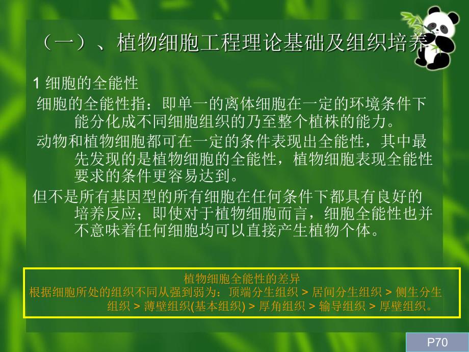 《植物细胞工程》PPT课件_第3页