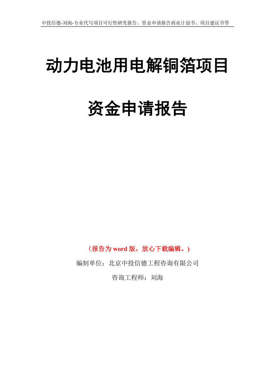 动力电池用电解铜箔项目资金申请报告模板_第1页