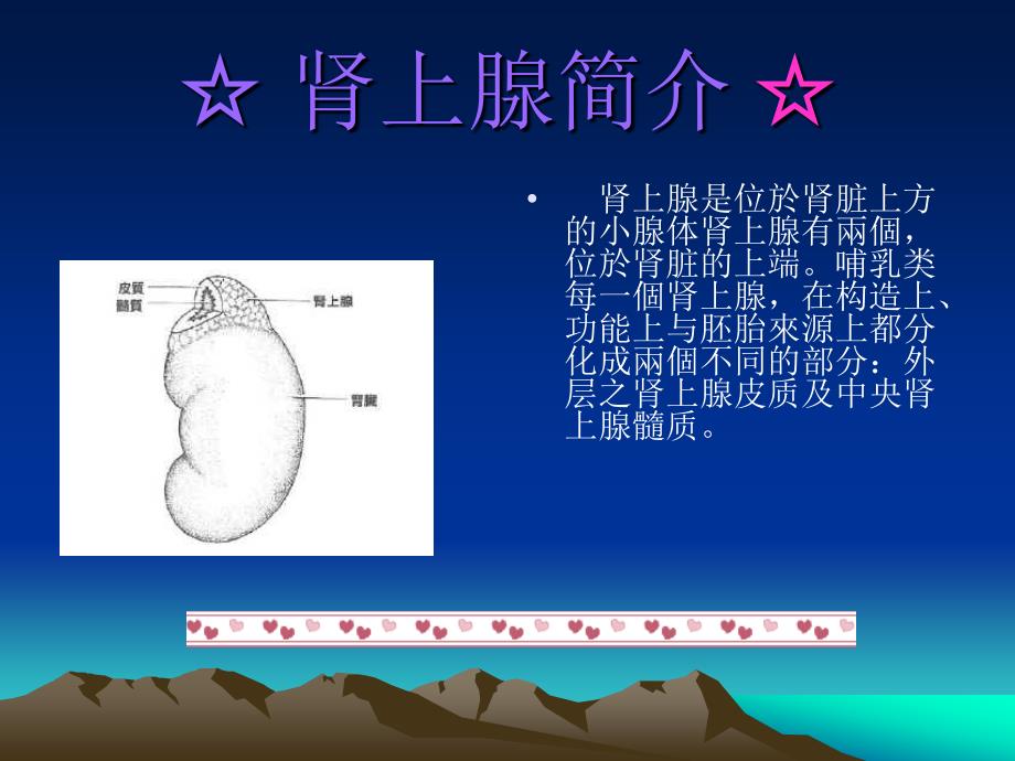 核医学：肾上腺显像_第4页