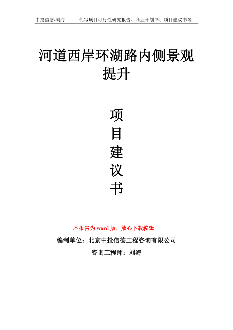 河道西岸环湖路内侧景观提升项目建议书写作模板_第1页