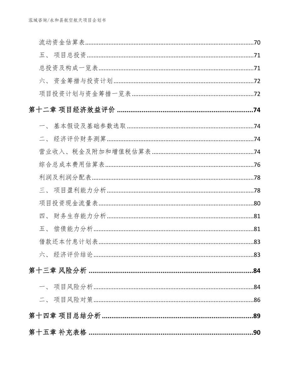 永和县航空航天项目企划书（模板范文）_第5页