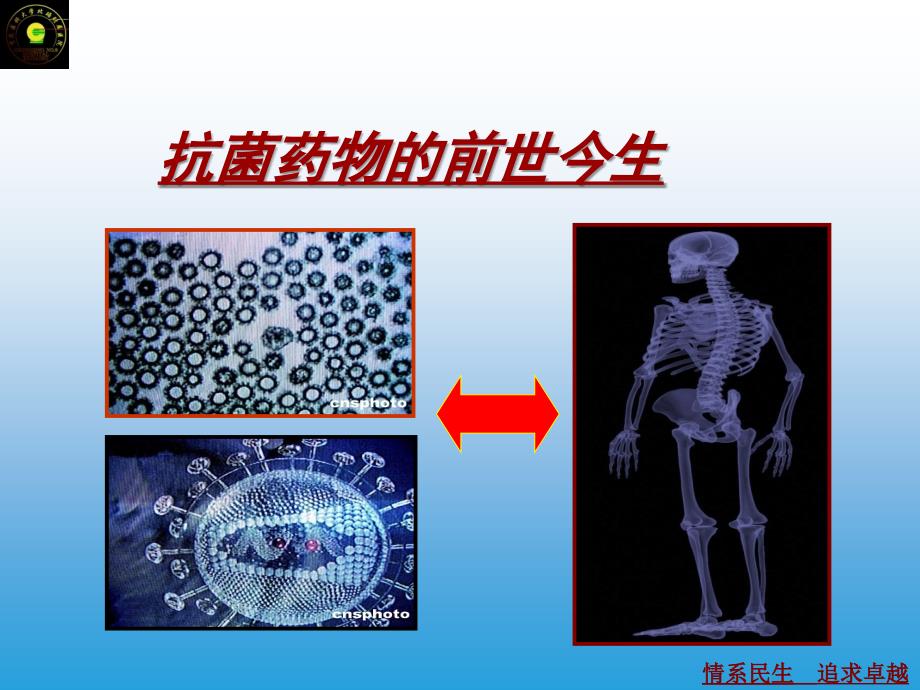 抗菌药物临床应用和规范化管理知识培训_第2页