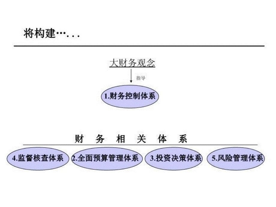 最新大型企业集团财务解决方案教学课件_第5页