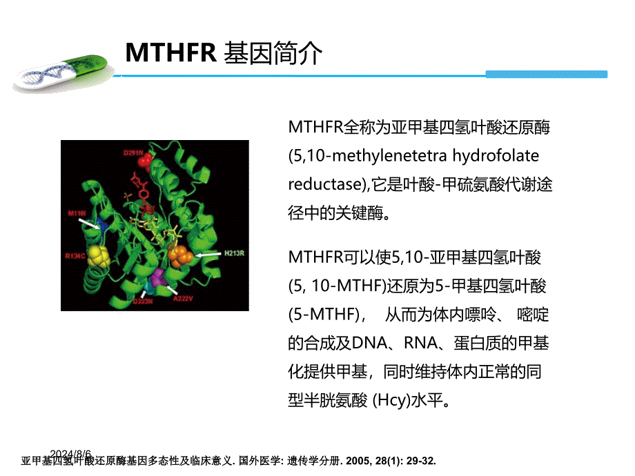 MTHFR基因检测与叶酸代谢产科方向ppt课件_第3页