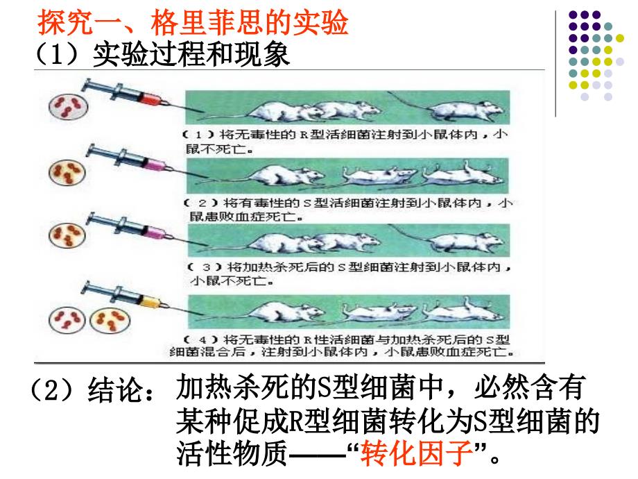 基因的本质复习精品演示课件_第4页