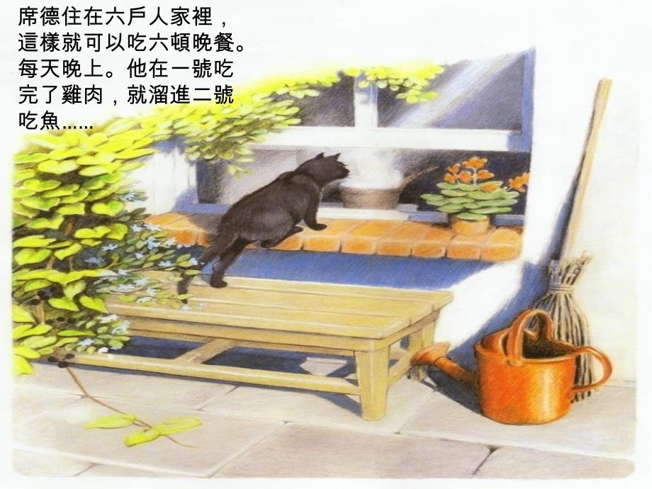 吃六顿晚餐的猫 (2)_第4页