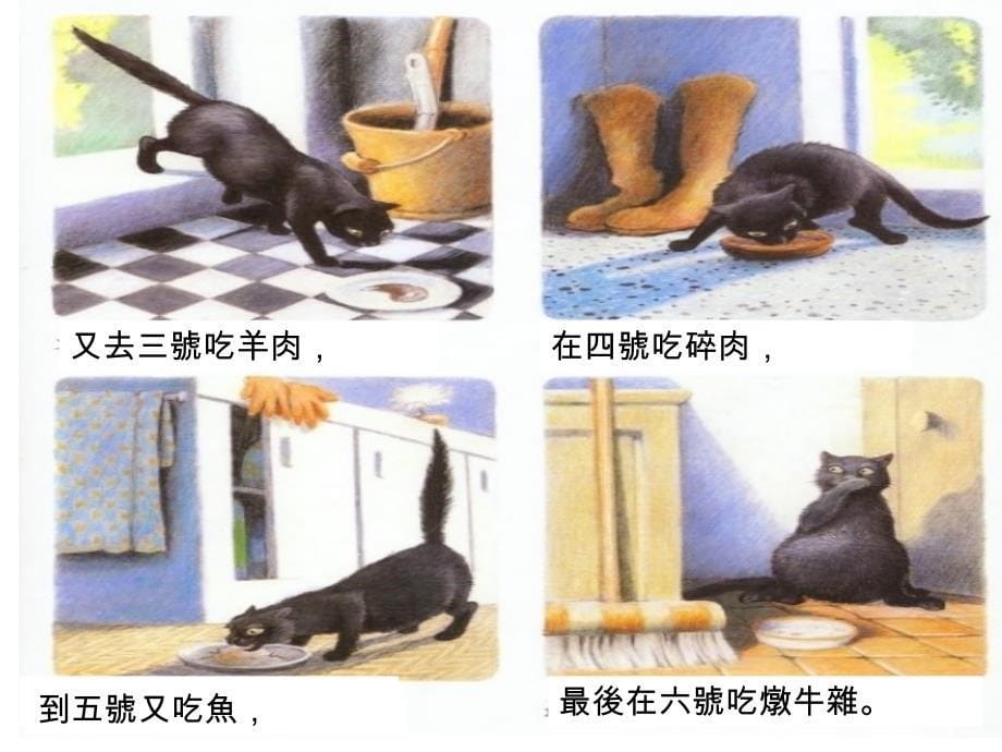 吃六顿晚餐的猫 (2)_第5页