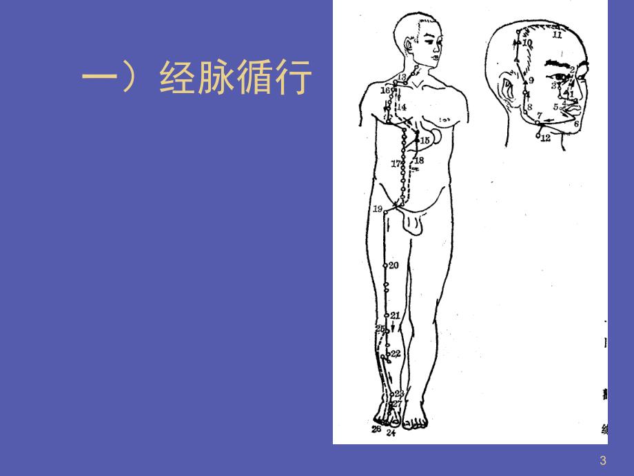 胃经腧穴ppt课件_第3页