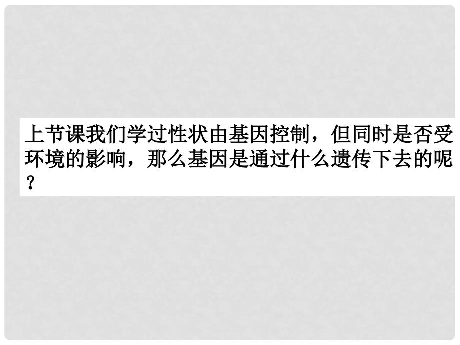 黑龙江省鸡西市第十六中学版八年级生物下册 7.2.2 基因在亲子代间的传递课件 （新版）新人教版_第3页