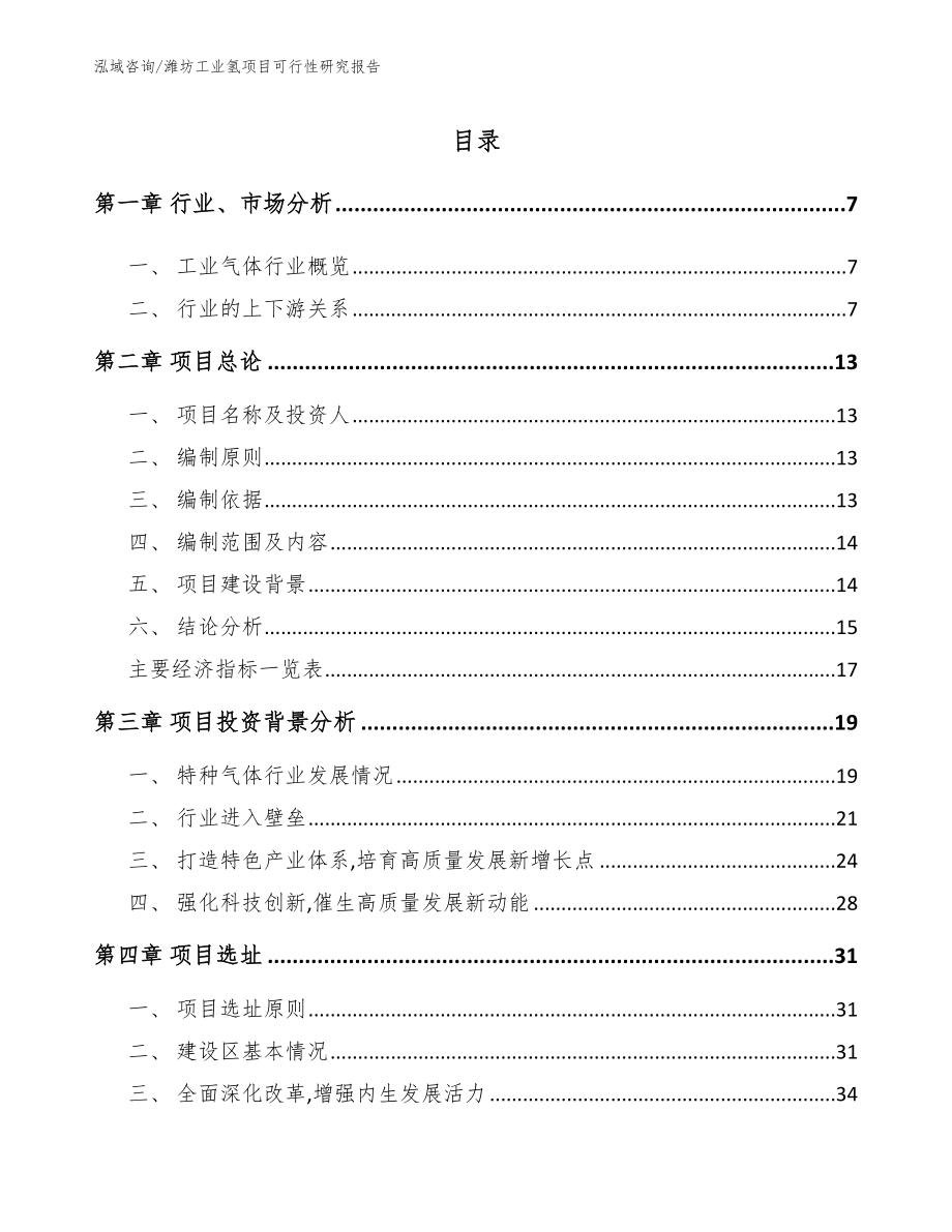 潍坊工业氢项目可行性研究报告_第2页