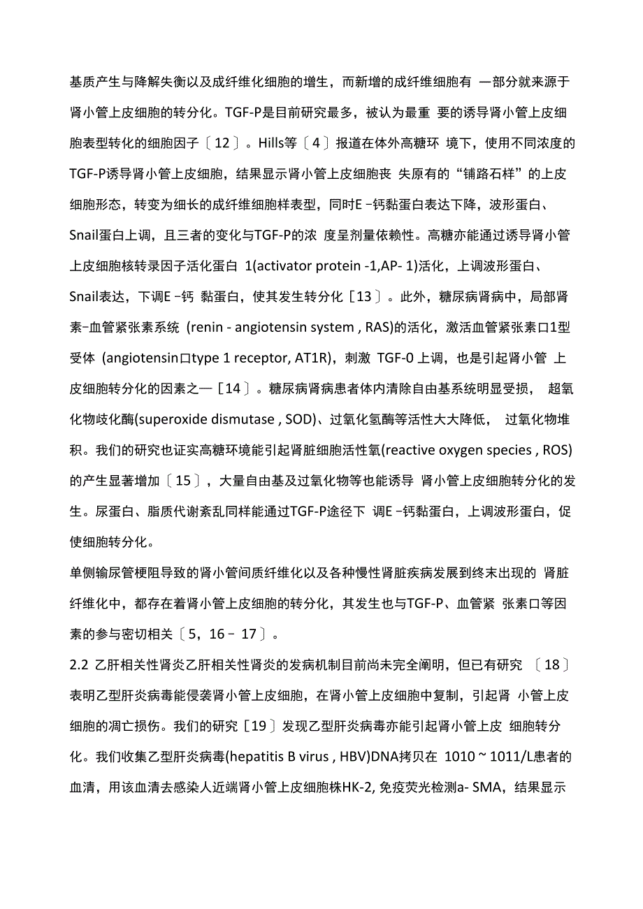 肾小管上皮细胞转分化类型及其在肾脏疾病进展中的作用_第4页