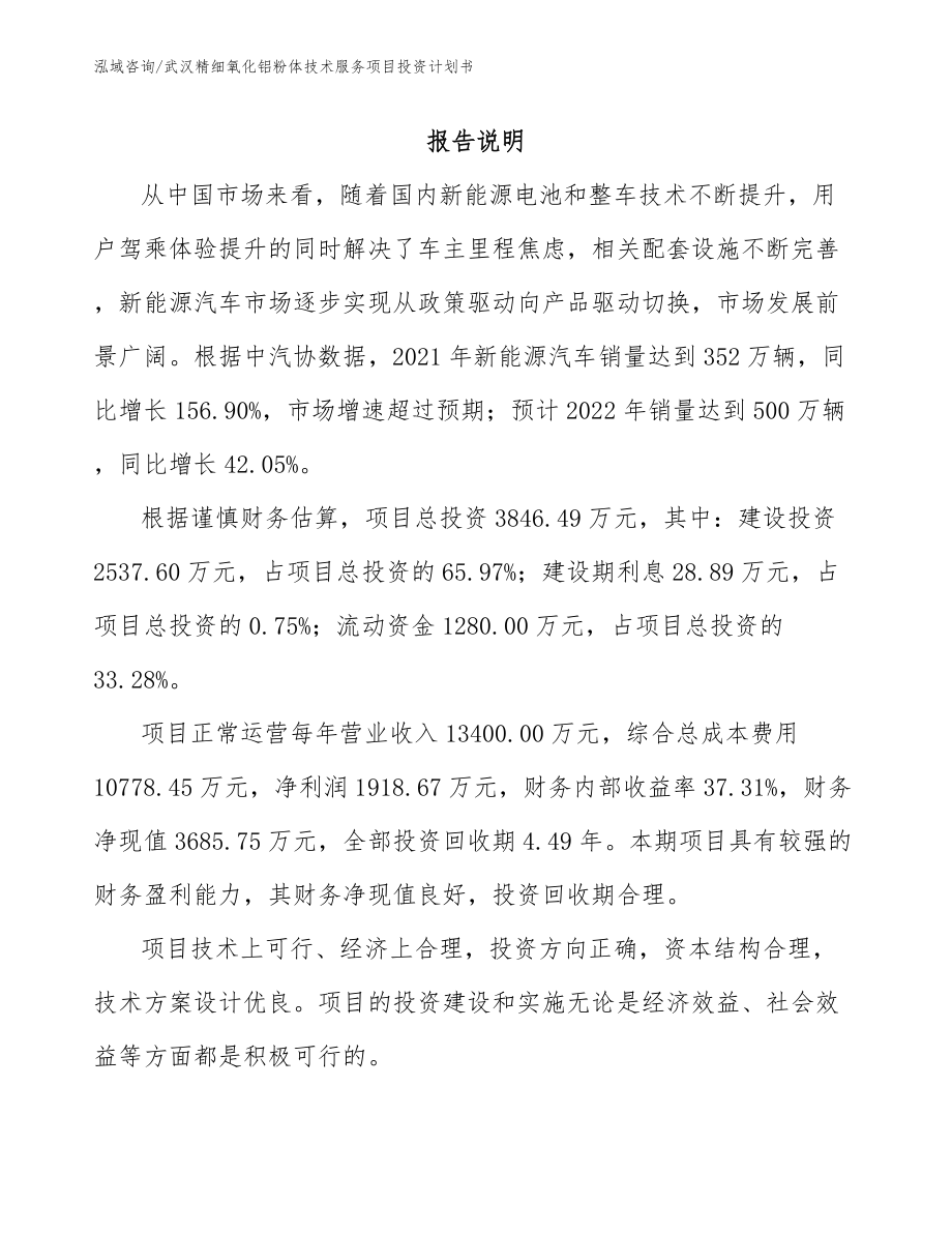 武汉精细氧化铝粉体技术服务项目投资计划书模板范文