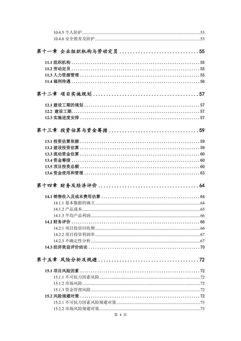 燃气利用改造配项目可行性研究报告模版备案审批_第5页