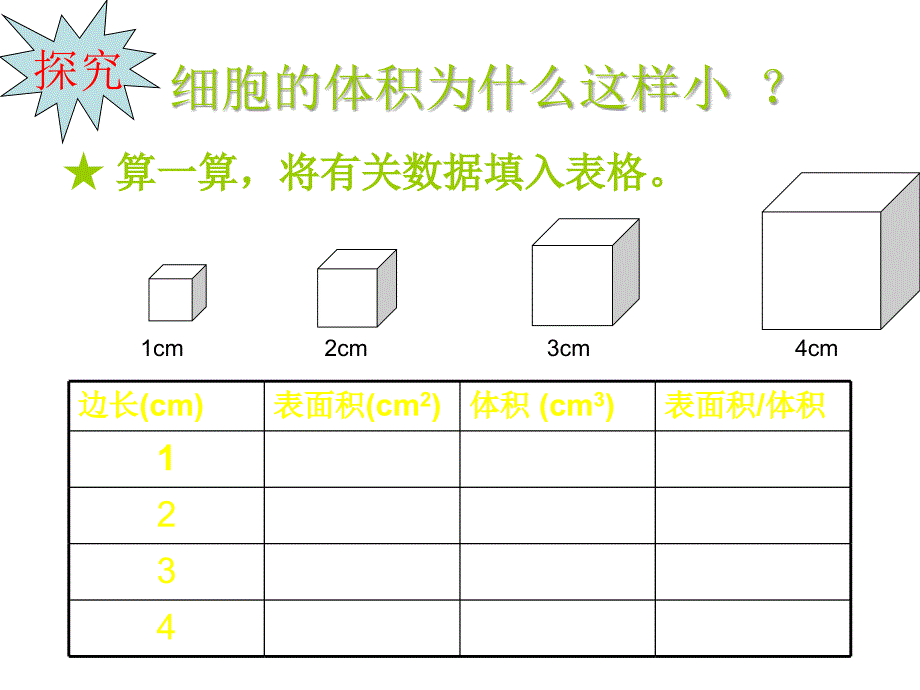 生物第3章第3节细胞通过分裂而增殖3课件北师大版七年级上_第3页