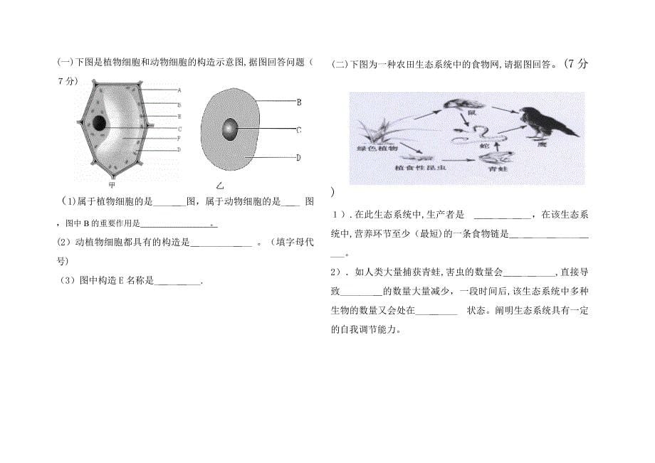 七上生物期中试卷(答案)_第5页