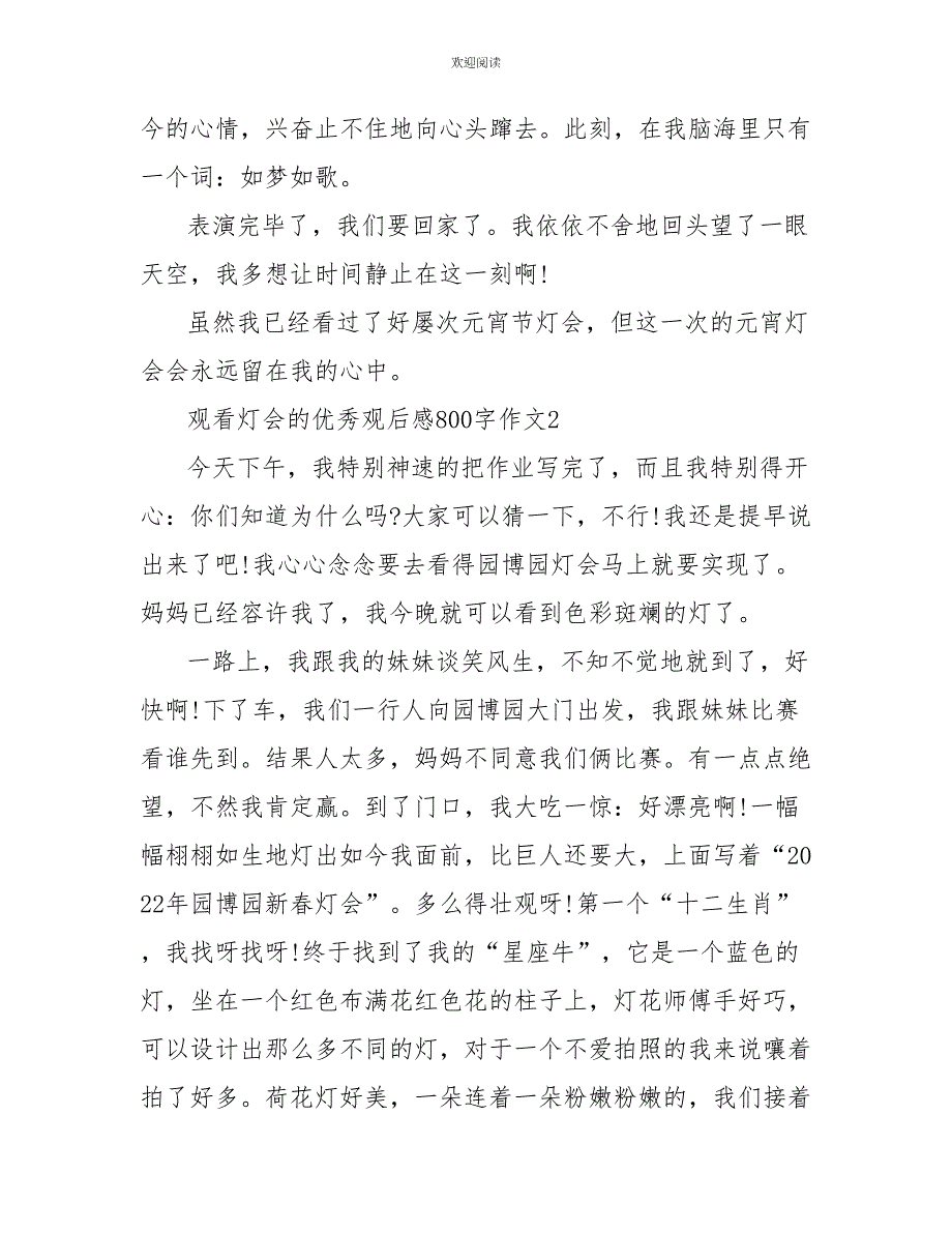 观看灯会的优秀观后感800字作文_第3页