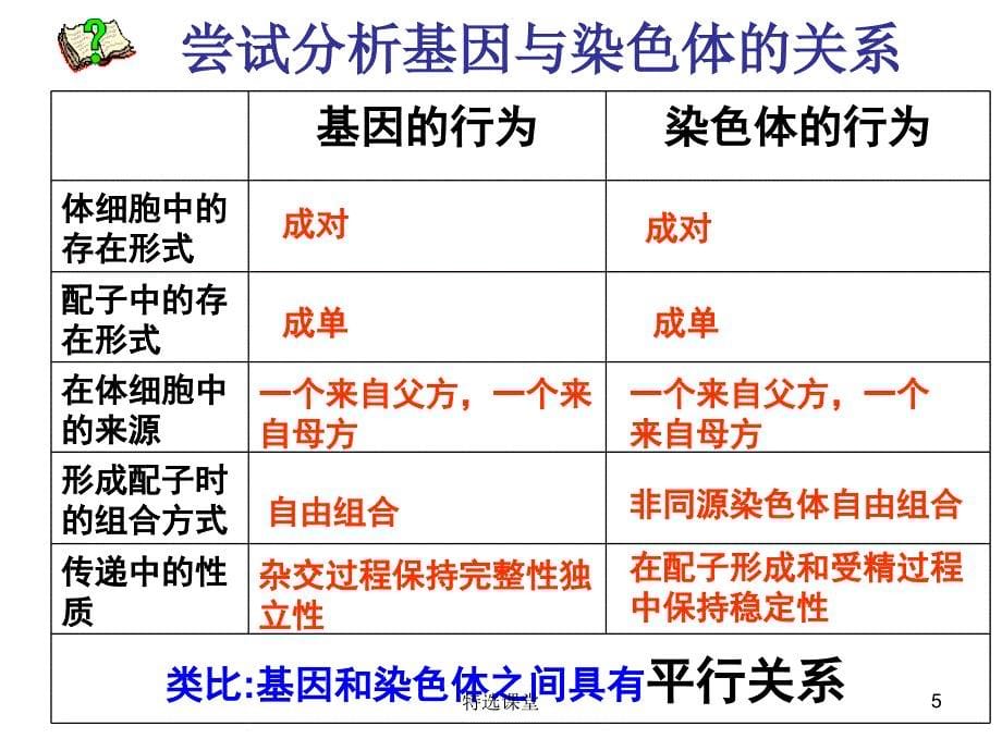 基因和染色体的关系(基因在染色体上)【教学课堂】_第5页