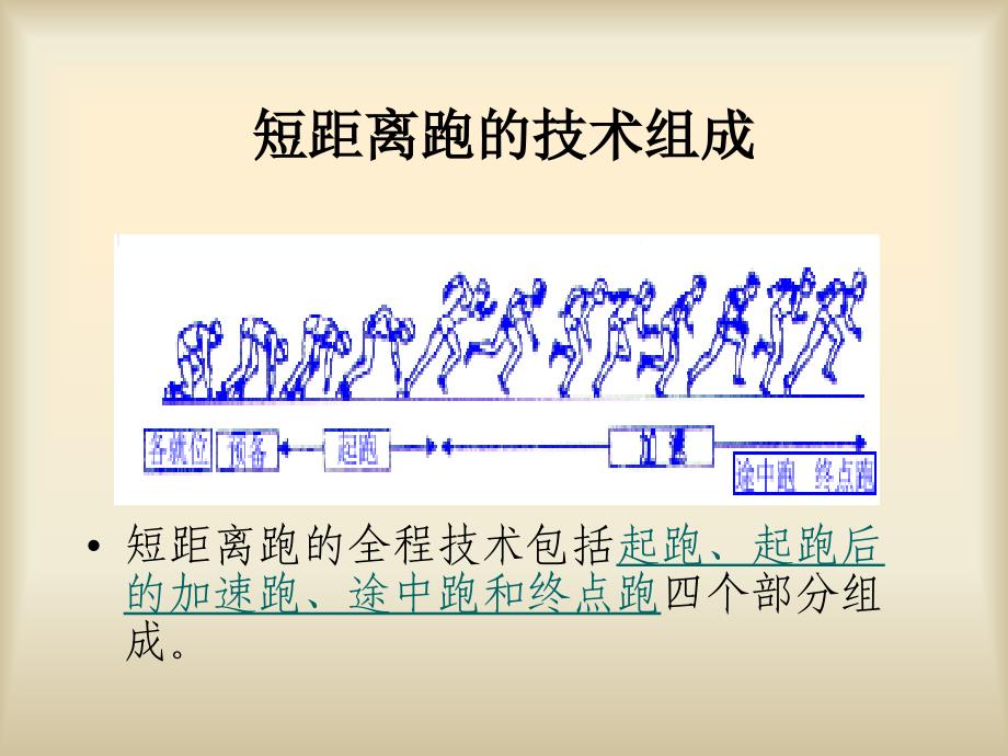 初中体育短距离跑技术简介课件_第2页